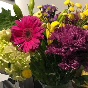 Meet your Posher, Lindsey